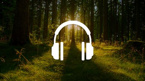 Forest Sound Magic: Enhancing Your Connection to the Natural World